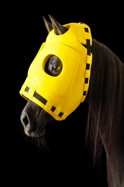 ماسک و نقاب مخصوص اسب ها (تصاویر) ماسک و نقاب مخصوص اسب ها (تصاویر)