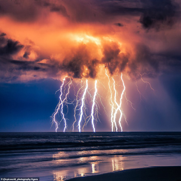 تصاویر برگزیده طبیعت و حیات وحش در سال 2020 تصاویر برگزیده طبیعت و حیات وحش در سال 2020