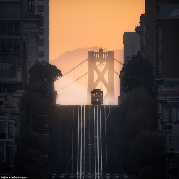 تصاویر برگزیده طبیعت و حیات وحش در سال 2020 تصاویر برگزیده طبیعت و حیات وحش در سال 2020