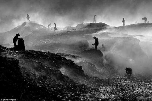 تصاویر برگزیده طبیعت و حیات وحش در سال 2020 تصاویر برگزیده طبیعت و حیات وحش در سال 2020