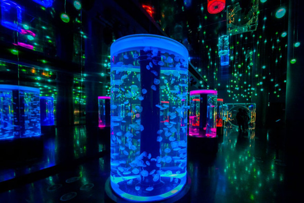 تظاهرات در گوشه و کنار جهان! / صف طویل کامیون داران لب مرز (تصاویر) تظاهرات در گوشه و کنار جهان! / صف طویل کامیون داران لب مرز (تصاویر)