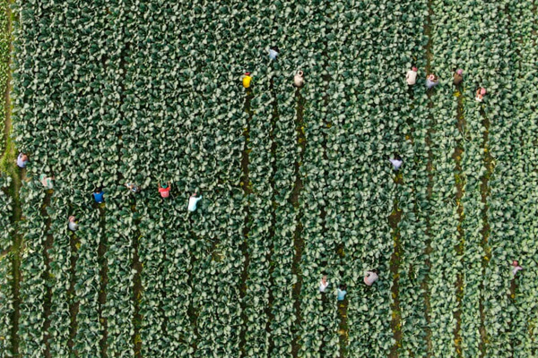 تظاهرات در گوشه و کنار جهان! / صف طویل کامیون داران لب مرز (تصاویر) تظاهرات در گوشه و کنار جهان! / صف طویل کامیون داران لب مرز (تصاویر)