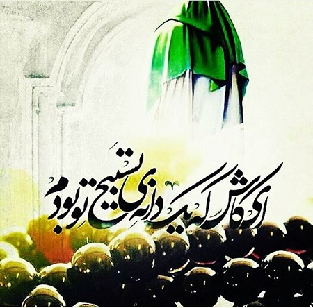 اهل بصیرت و یاری خدا و رسول و اولی الامر