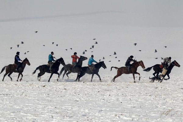 قتل برای رعایت نکردن محدودیت های کرونایی! / مسابقه «بز کشی» (تصاویر)