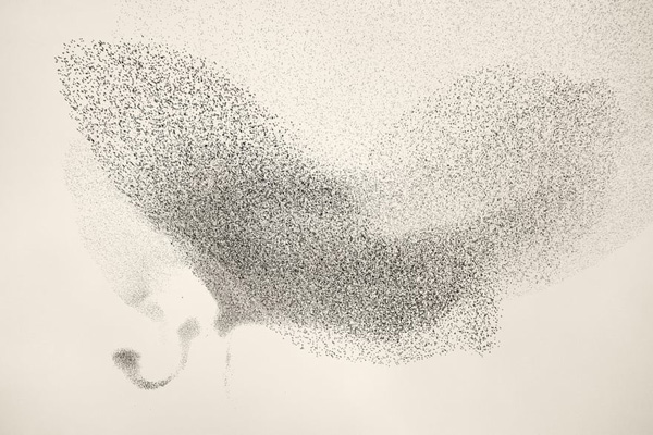 مرگ عجیب یک گونه جانوری / تمساح؛ گرفتار حلقه لاستیک شد (گزارش تصویری) مرگ عجیب یک گونه جانوری / تمساح؛ گرفتار حلقه لاستیک شد (گزارش تصویری)