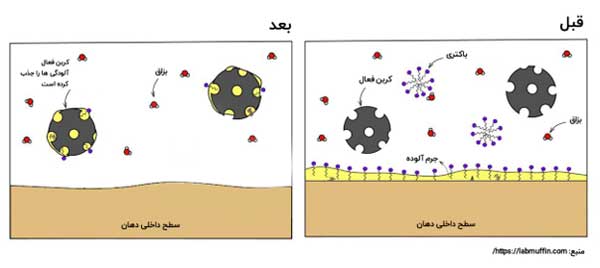 آدامس کربن فعال گیاهی بایودنت وارد بازار شد