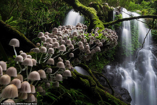 عکس های برنده مسابقه «طبیعت» در جهان (2)