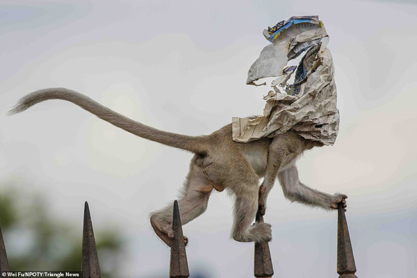 عکس های برنده مسابقه «طبیعت» در جهان (2)