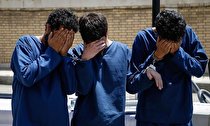 ۱۷ زمین خوار دهلرانی دستگیر شدند