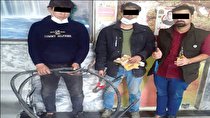 ماجرای سرقت‌های «نور» در «تاریکی»!