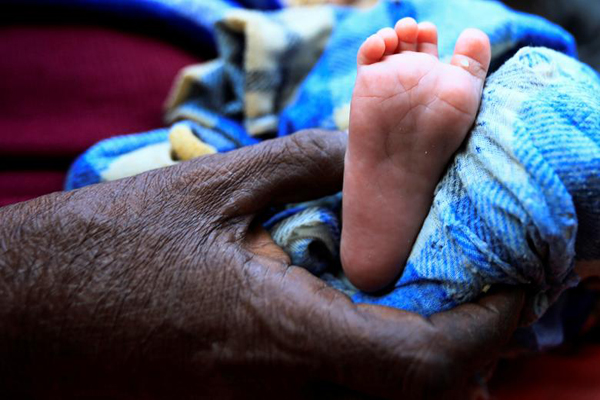 سرگردانی آوارگان گرسنه (تصاویر)