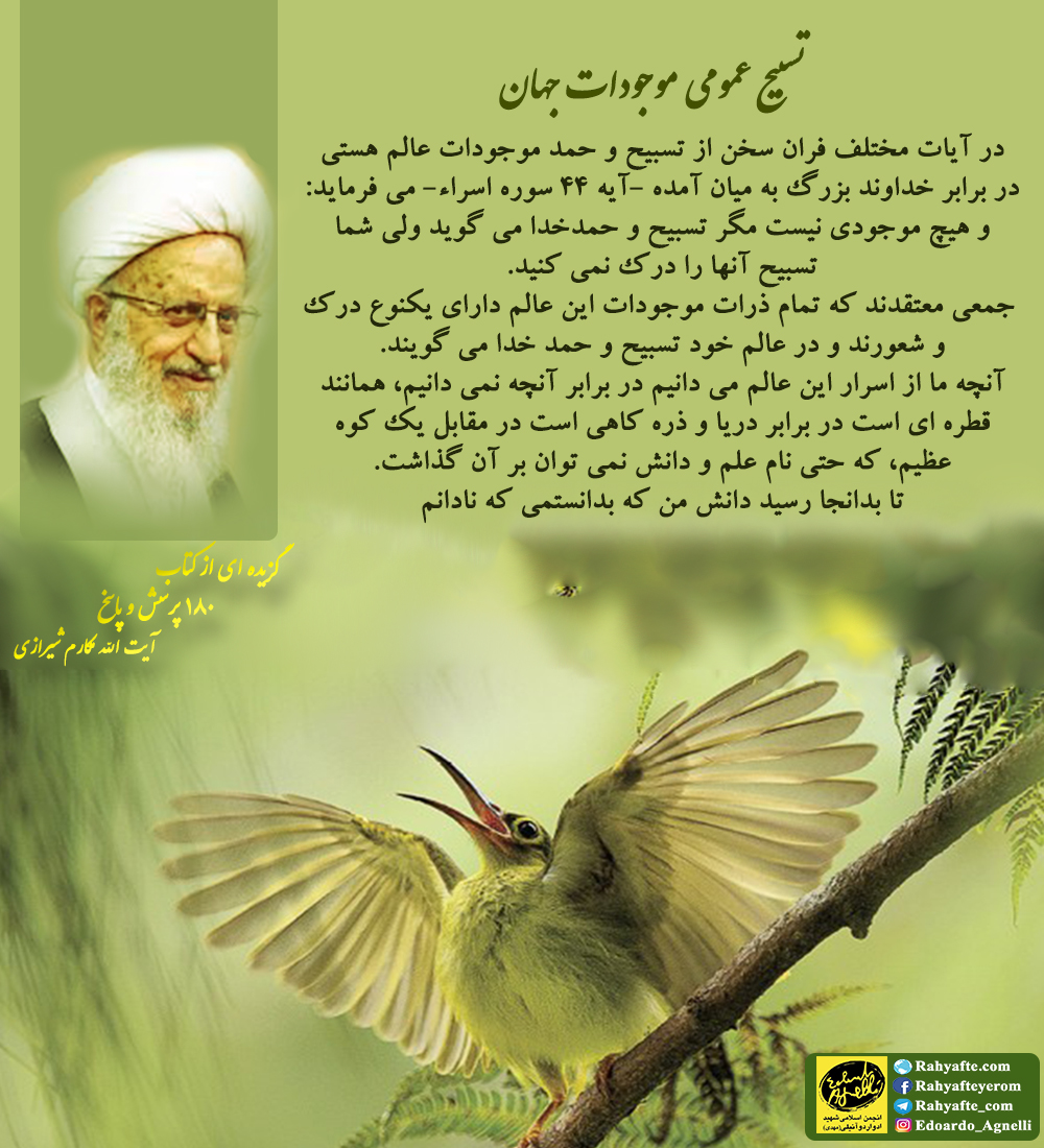 حقیقی بودن تسبیح موجودات غیر ذی روح