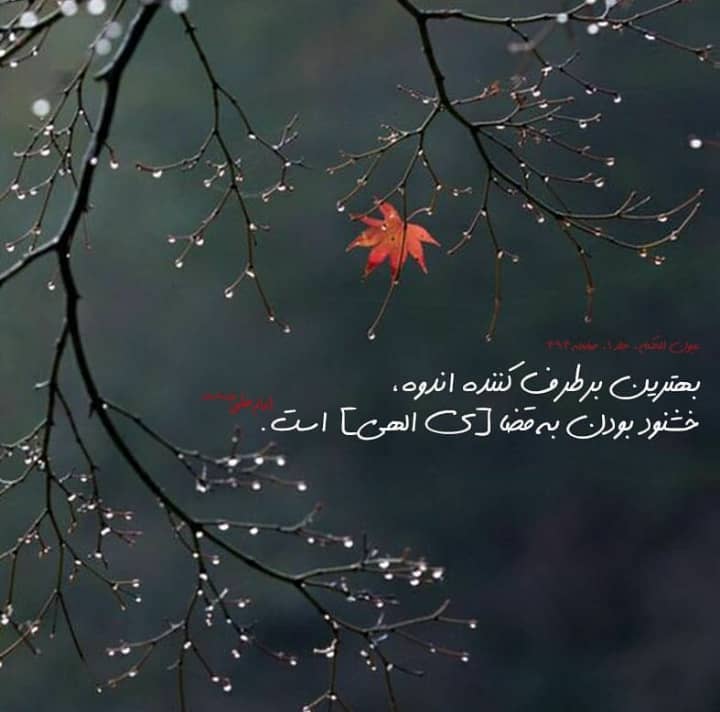 رعایت اصول دعا در آیات و روایات رعایت اصول دعا در آیات و روایات