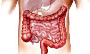 آیا روده‌ی شما سالم است؟