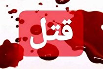 قتل زن مورد علاقه با سیم شارژر