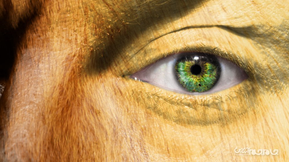 بدترین جنایات انجام شده توسط اتحاد جماهیر شوروی که از آن‌ها بی‌خبر بودید؛قسمت دوم+عکس