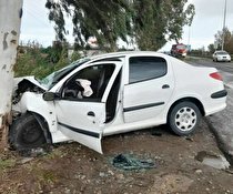 وزش باد شدید حادثه آفرید