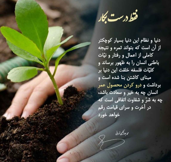 سعادت در قیامت