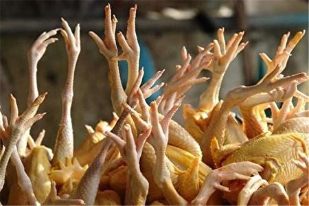 قیمت پای مرغ هم از نرخ مصوب مرغ بیشتر شد/ هر کیلوگرم ۲۷۷۰۰ تومان