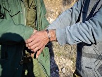 دستگیری ۵ شکارچی غیرمجاز پرندگان وحشی در اردبیل