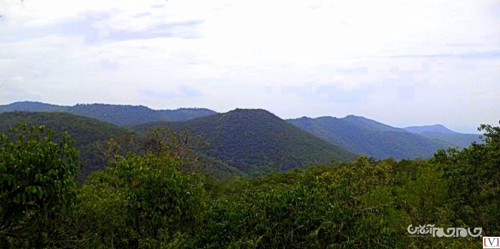 روشی جدید برای شناسایی زودتر افراد گم شده در طبیعت؛ استفاده از هوش مصنوعی+عکس