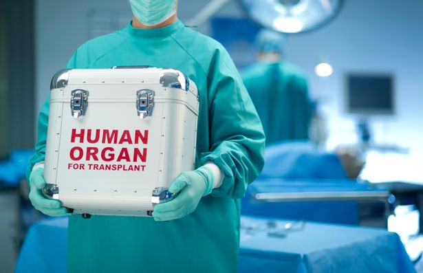 ۶ پزشک چینی قاچاقچی اعضای بدن بازداشت شدند ۶ پزشک چینی قاچاقچی اعضای بدن بازداشت شدند