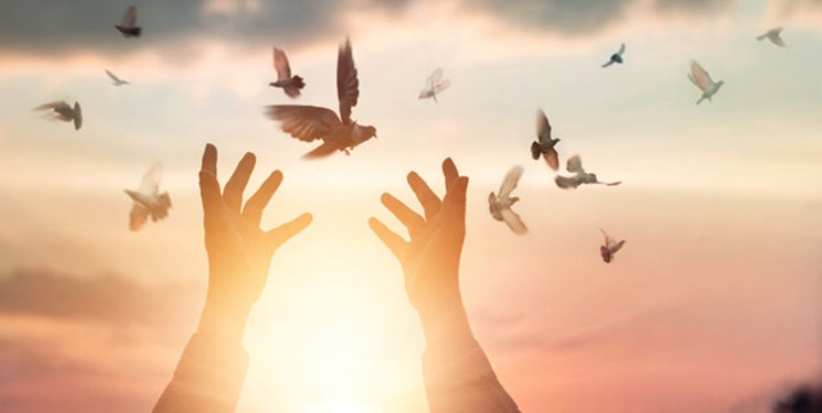 هفت تن از محکومان به قصاص نفس در سمنان از چوبه دار نجات یافتند