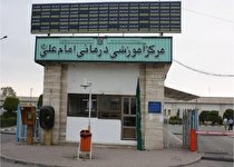 تولد چهارقلوها در هفته نخست بهار 1400