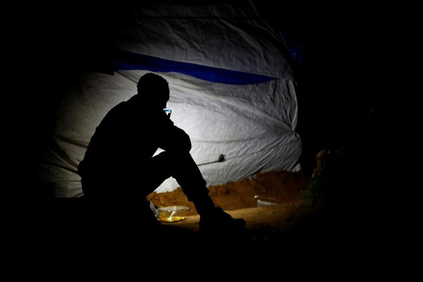 دستگیری ببر قاتل / آموزش آنلاین هنرهای رزمی (گزارش تصویری)