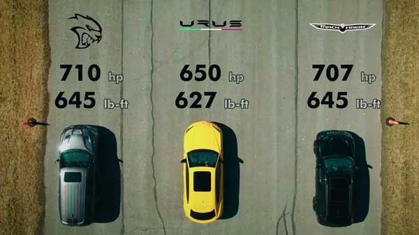 قلدرها قدرت‌ نمایی می کنند (+عکس و فیلم)