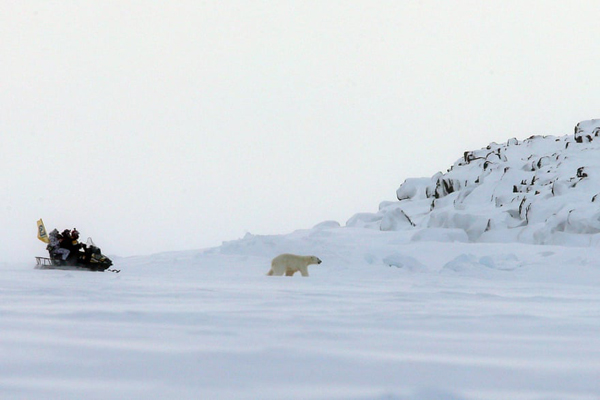 گزارش تصویری حیات وحش؛ از خشم ببر بنگال تا یک عقاب معروف گزارش تصویری حیات وحش؛ از خشم ببر بنگال تا یک عقاب معروف
