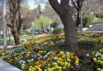 چهره بهاری شهر با کاشت ۲۹ هزار گل