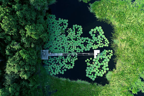آیین خوابیدن در تابوت / زنده شدن یک مرداب (گزارش تصویری) آیین خوابیدن در تابوت / زنده شدن یک مرداب (گزارش تصویری)