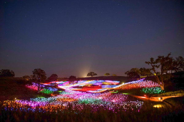 آیین خوابیدن در تابوت / زنده شدن یک مرداب (گزارش تصویری) آیین خوابیدن در تابوت / زنده شدن یک مرداب (گزارش تصویری)