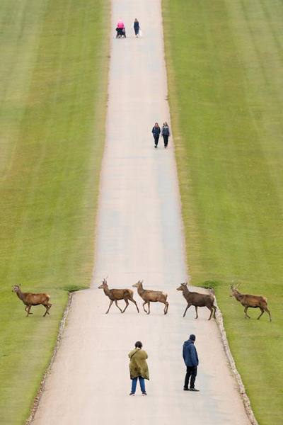 دور دنیا در قاب تصاویر دور دنیا در قاب تصاویر