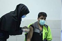 طرح واکسیناسیون پاکبانان شهرداری به درستی اجرا شد