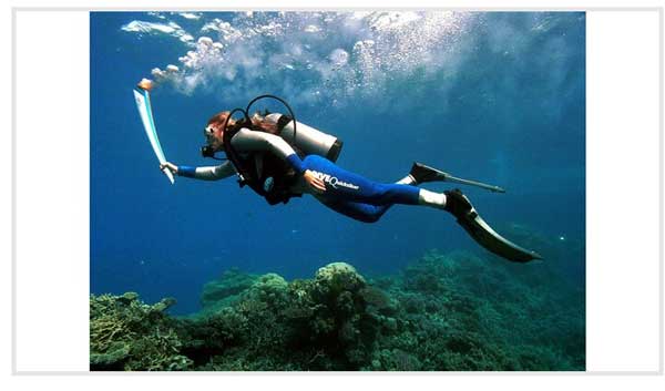 آنچه درباره مشعل المپیک نمی دانید / پای هیتلر در میان است! (+تصاویر) آنچه درباره مشعل المپیک نمی دانید / پای هیتلر در میان است! (+تصاویر)