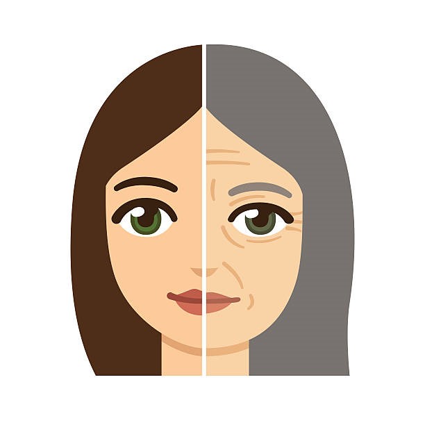 6 قدم ساخت 6 قدم ساخت