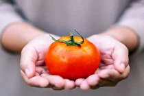 تاثیر گوجه فرنگی بر کارآیی سیستم تنفسی