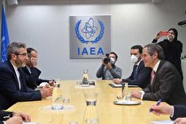 گروسی: گفتگوهای مهمی با باقری داشتم