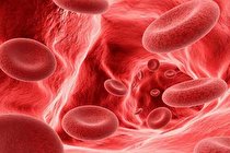 تغییر گروه خونی ریه‌ های انسان برای اولین بار