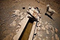 زمینِ گرم تر، غذای کمتر