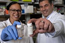 محققان ایرانی تومورهای سرطانی را ظرف یک هفته از بین بردند