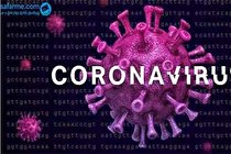 سویه های کرونا در بدن مخفی می شوند