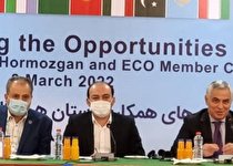 اتاق بازرگانی هرمزگان رتبه سوم کشور در جذب سرمایه‌گذار خارجی را دارد