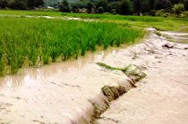 احتمال طغیان رودخانه‌ها در استان همدان