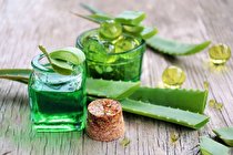 ژل داخل این برگ منبع غنی از ویتامین A، C، E است