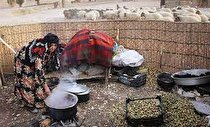 احیاء بیش از ۳۶ چشمه برای عشایر منطقه ملکشاهی