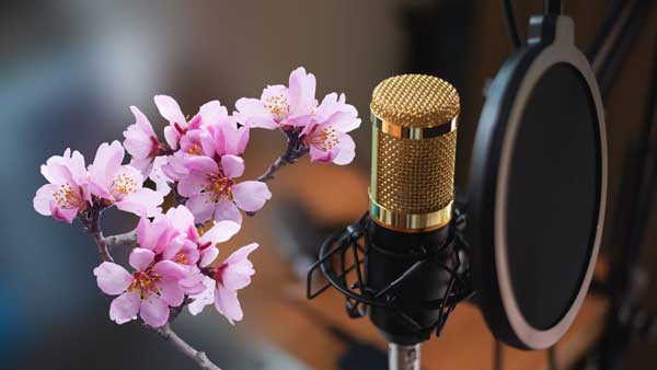 بررسی آواها و موسیقیهای ایرانی در «ایران آوا» بررسی آواها و موسیقیهای ایرانی در «ایران آوا»