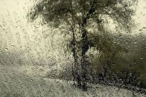 تحلیل و بررسی آثار عباس کیارستمی